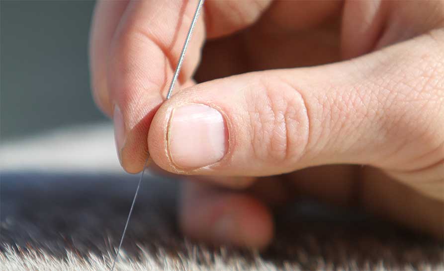 Grafik Tierarztpraxis Borggräfe