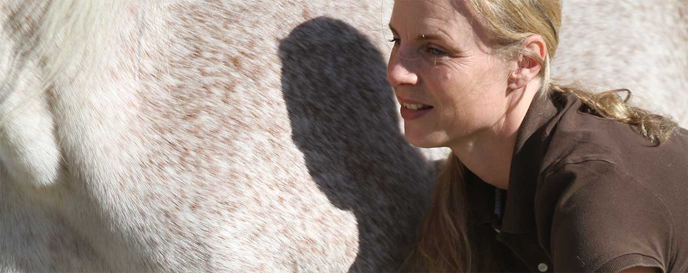 Grafik Tierarztpraxis Borggräfe